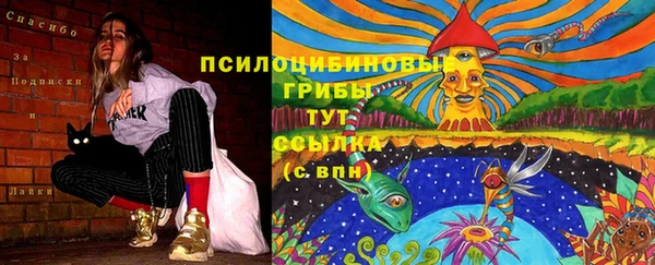 соль курить ск Арсеньев