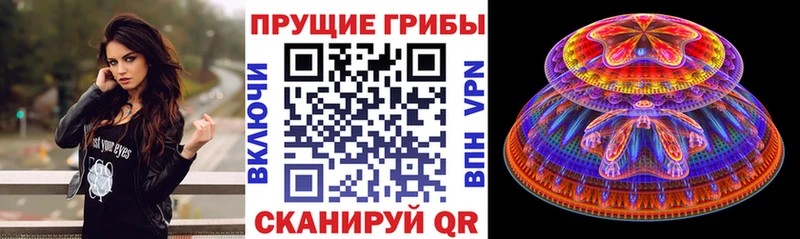 купить наркотик Новодвинск Псилоцибиновые грибы GOLDEN TEACHER
